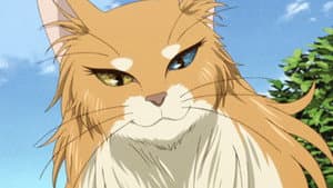 Episódio 4 - Tudo deve ter um começo - The Ancient Magus' Bride