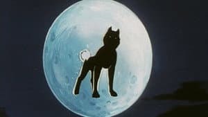 Episódio 7 - Episódio 7 - Ginga Nagareboshi