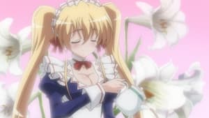 Episódio 3 - Empregada doméstica em Neko - Omamori Himari