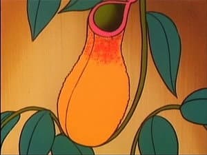 Episódio 8 - Episódio 8 - Hurricane Polymar