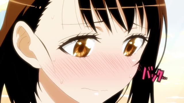 Episódio 6 - Contração e concessão de empréstimos - Nisekoi: