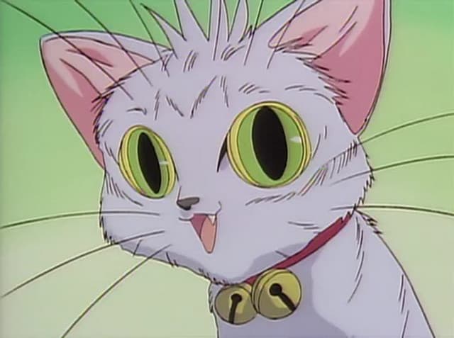 Episódio 5 - FASE-0V - All Purpose Cultural Cat Girl Nuku Nuku TV Specials
