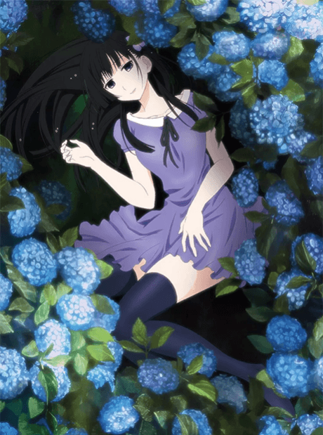 Pôster oficial do anime Sankarea em português