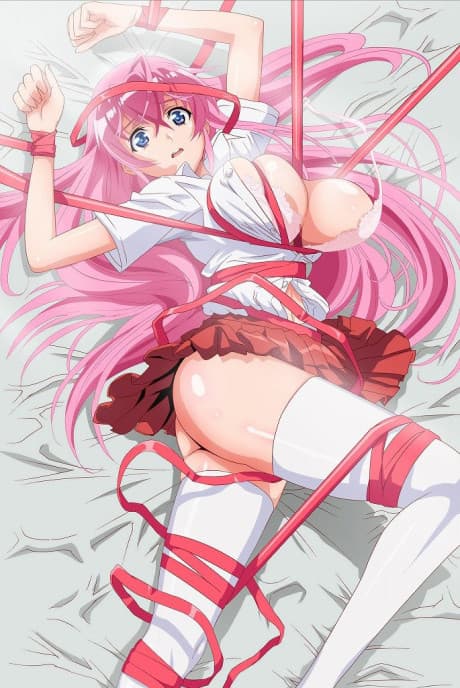 Pôster oficial do anime Otomedori em português