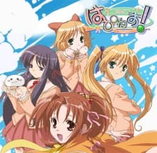 Pôster oficial do anime Happiness!: Watarase Jun no Kareinaru Ichinichi em português