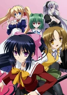 Pôster oficial do anime Omamori Himari em português
