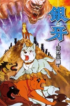 Pôster oficial do anime Ginga Nagareboshi em português